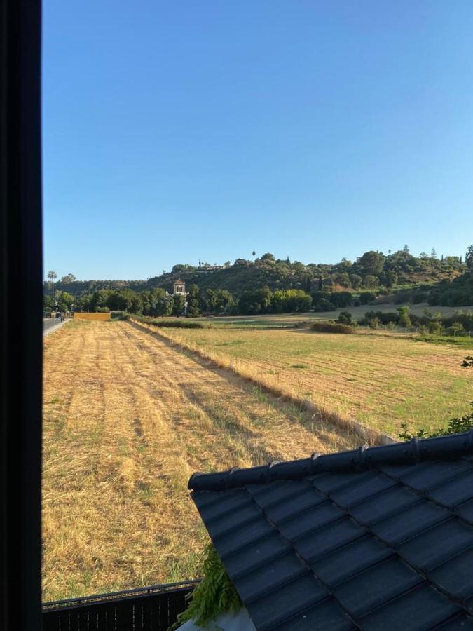 Paz Y Tranquilidad, A Un Paso De Sevilla San Juan de Aznalfarache Eksteriør billede