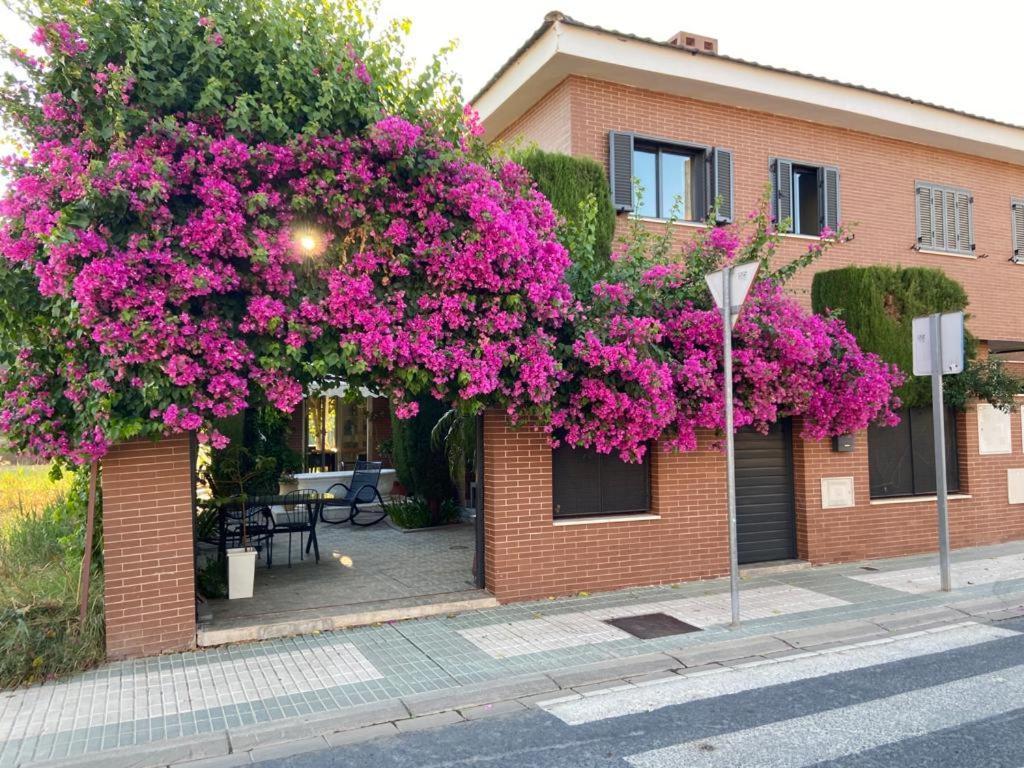 Paz Y Tranquilidad, A Un Paso De Sevilla San Juan de Aznalfarache Eksteriør billede